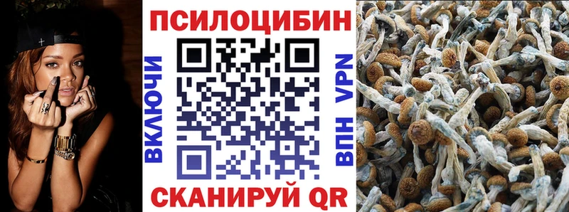 Галлюциногенные грибы прущие грибы  mega вход  Омутнинск 
